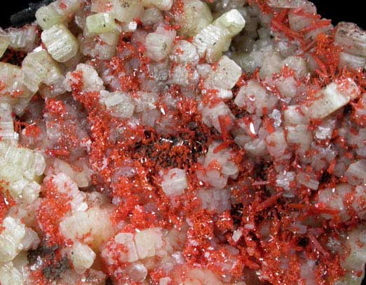 Cerussite and Crocoite from Magnet Mine, 10km West of Waratah, Tasmania, Australia