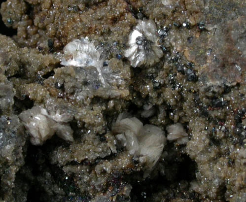 Tennantite on Siderite with Nacrite and Chalcopyrite from Dresser Industries Quarry, Walton, Nova Scotia, Canada