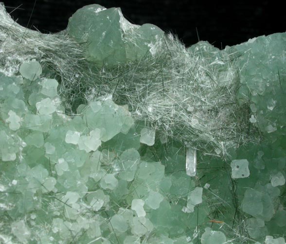 Prehnite over Thaumasite with Apophyllite and Actinolite var. Byssolite from Fairfax Quarry, 6.4 km west of Centreville, Fairfax County, Virginia