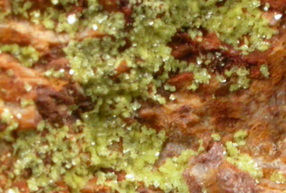 Autunite and Meta-autunite from Merry Widow Mine, White Signal District, Grant County, New Mexico