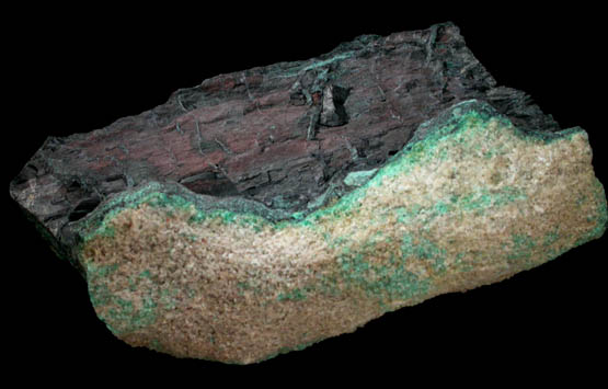 Chalcocite pseudomorph after Wood (Chalcocite Wood) from Nacimiento Copper Mine, near Cuba, Sandoval County, New Mexico