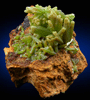 Pyromorphite from Mine des Farges, Ussel, Corrze, France