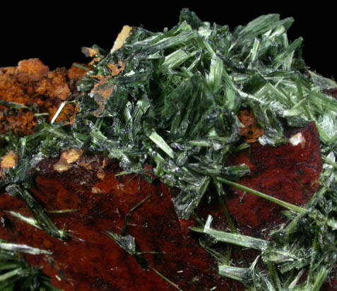 Olivenite from Majuba Hill Mine, Pershing County, Nevada