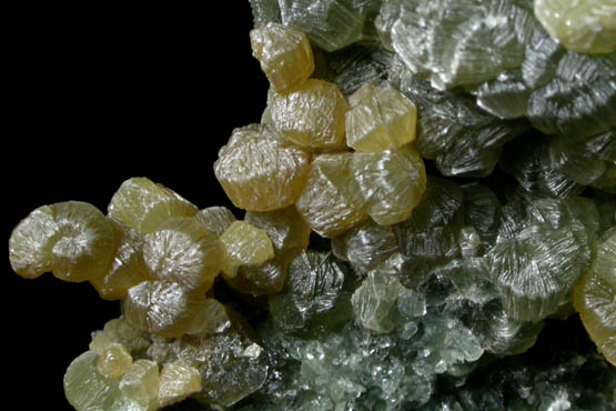 Clinochlore from Broughton Mine, Saint-Pierre-de-Broughton, Qubec, Canada