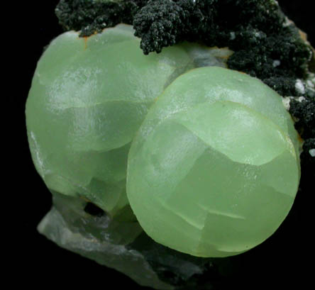 Prehnite from Riker Hill, Livingston, Essex County, New Jersey