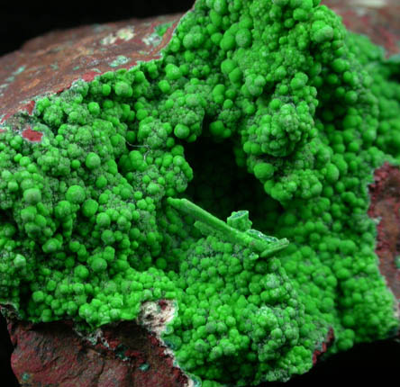 Conichalcite from Hilarion Adit, Agios Konstandinos, Lavrion (Laurium) Mining District, Attica Peninsula, Greece