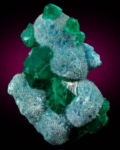 Dioptase and Plancheite from Tantara, 26 WSW of Likasi, Katanga Copperbelt, Haut-Katanga Province, Democratic Republic of the Congo