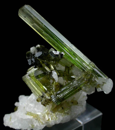 Elbaite Tourmaline on Albite from Minas Gerais, Brazil