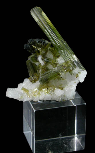 Elbaite Tourmaline on Albite from Minas Gerais, Brazil