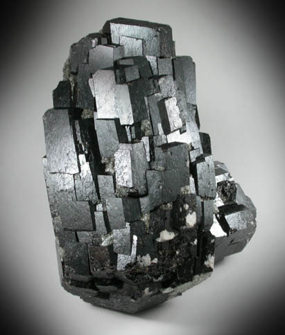 Dravite Tourmaline from May Downs Station, near Mt. Isa, Queensland, Australia