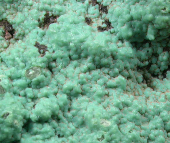 Pseudomalachite from Schuyler Copper Mine, North Arlington, Bergen County, New Jersey