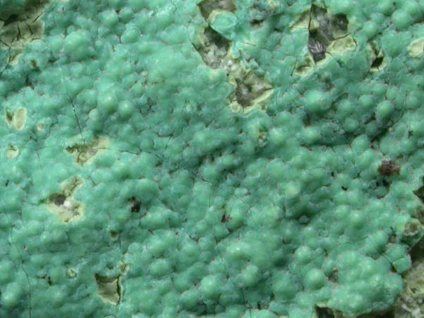 Pseudomalachite from Schuyler Copper Mine, North Arlington, Bergen County, New Jersey