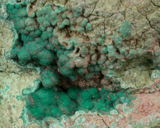 Pseudomalachite from Schuyler Copper Mine, North Arlington, Bergen County, New Jersey