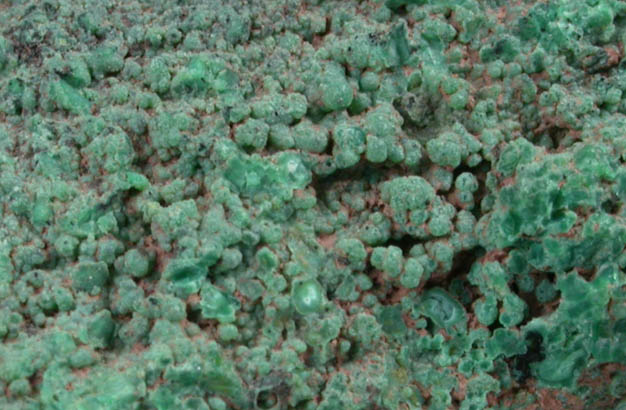 Pseudomalachite from Schuyler Copper Mine, North Arlington, Bergen County, New Jersey