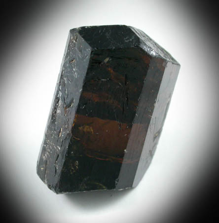 Dravite Tourmaline from Ruwa Mine, Jajarkot District, Bheri Zone, Nepal