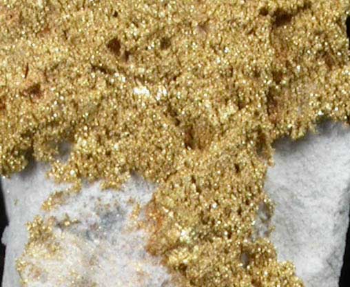 Gold on Quartz (crystallized) from Mother Lode District, Tuolumne County, California