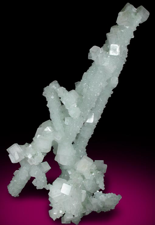 Prehnite pseudomorphs after Laumontite with Apophyllite from Mumbai (Bombay) District, Maharashtra, India