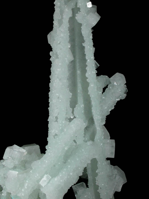 Prehnite pseudomorphs after Laumontite with Apophyllite from Mumbai (Bombay) District, Maharashtra, India