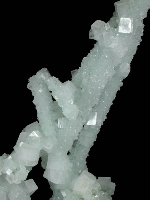 Prehnite pseudomorphs after Laumontite with Apophyllite from Mumbai (Bombay) District, Maharashtra, India