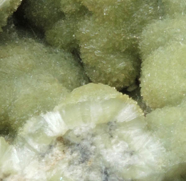 Wavellite from Slate Mountain, El Dorado County, California