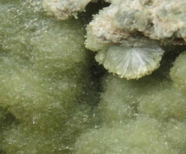 Wavellite from Slate Mountain, El Dorado County, California