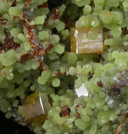 Mimetite with Wulfenite from Mina Ojuela, Mapimi, Durango, Mexico