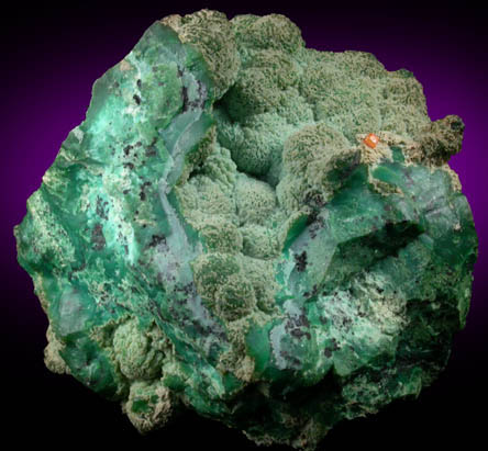 Wulfenite on Chrysocolla from 79 Mine, Banner District, near Hayden, Gila County, Arizona