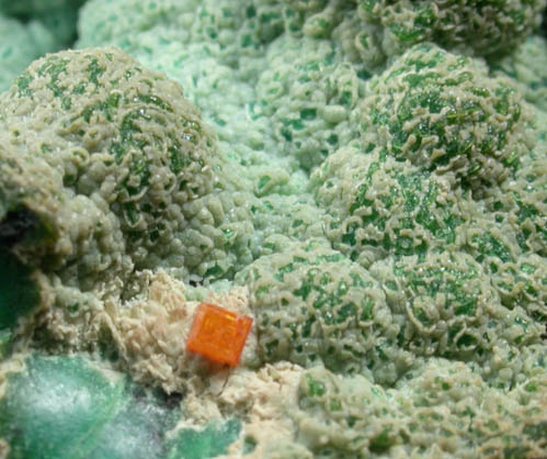 Wulfenite on Chrysocolla from 79 Mine, Banner District, near Hayden, Gila County, Arizona