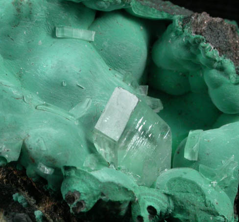 Barite on Malachite from Shinkolobwe Mine, 22 km WSW of Likasi, Katanga Copperbelt, Haut-Katanga Province, Democratic Republic of the Congo