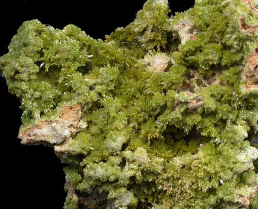 Pyromorphite from Monte Fal, Armeno, Novara Province, Italy