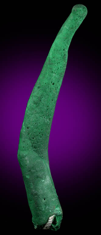 Malachite (curved stalactite) from Kambove Mining District, 130 km NW of Lubumbashi, Katanga Copperbelt, Lualaba Province, Democratic Republic of the Congo