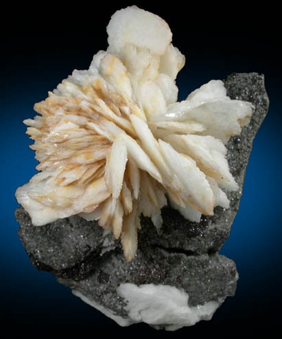 Barite, Dolomite and Sphalerite from Les Malines District, Saint-Laurent-le-Minier, Gard, Languedoc-Roussillon, France