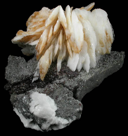 Barite, Dolomite and Sphalerite from Les Malines District, Saint-Laurent-le-Minier, Gard, Languedoc-Roussillon, France