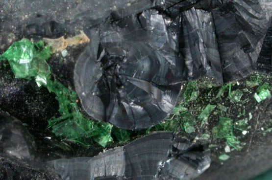 Torbernite on Heterogenite from Shinkolobwe Mine, 22 km WSW of Likasi, Katanga Copperbelt, Haut-Katanga Province, Democratic Republic of the Congo