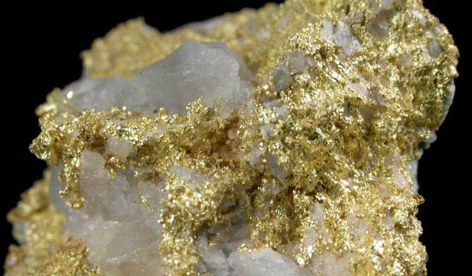 Gold on Quartz from Round Hill Mine, 750' Level, El Dorado County, California
