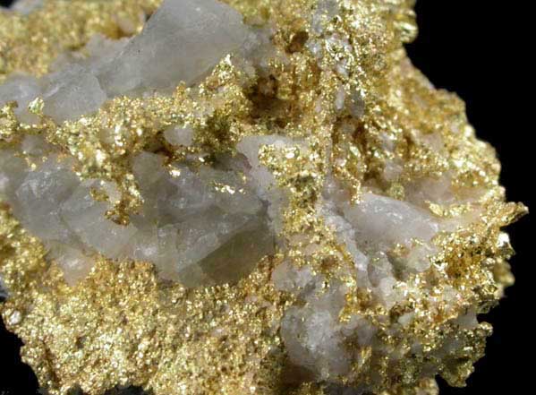 Gold on Quartz from Round Hill Mine, 750' Level, El Dorado County, California