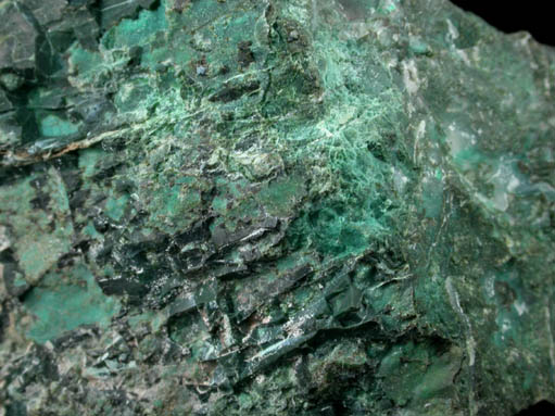 Chrysocolla from Globe, Globe-Miami District, Gila County, Arizona