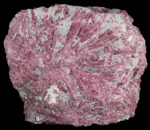 Elbaite var. Rubellite Tourmaline in Lepidolite from Stewart Mine, Pala District, San Diego County, California