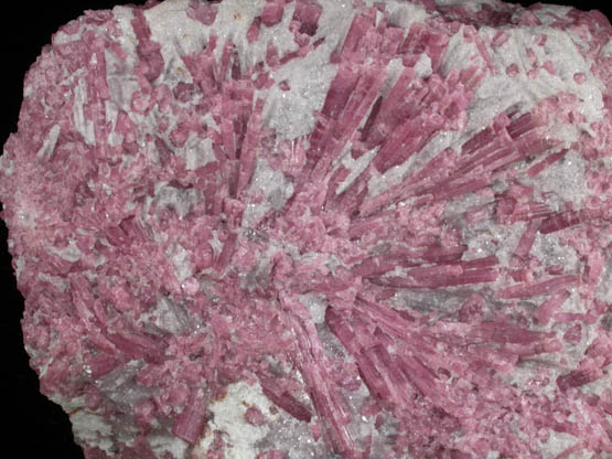 Elbaite var. Rubellite Tourmaline in Lepidolite from Stewart Mine, Pala District, San Diego County, California