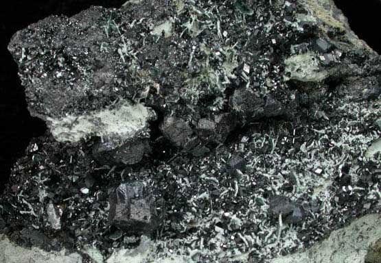 Perovskite and Andradite var. Melanite Garnet with Clinochlore from New Idria District, San Benito County, California