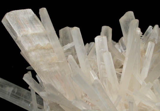 Gypsum var. Selenite from Kimba Gap, South Australia, Australia