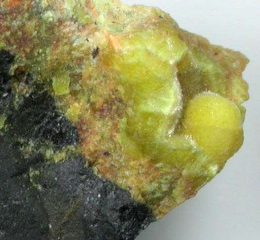 Uranophane with Curite from Shinkolobwe Mine, 22 km WSW of Likasi, Katanga Copperbelt, Haut-Katanga Province, Democratic Republic of the Congo (Type Locality for Curite)