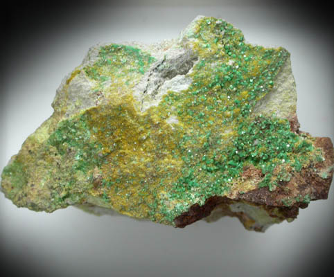 Saleeite, Metatorbernite, Phosphuranylite from Shinkolobwe Mine, 22 km WSW of Likasi, Katanga Copperbelt, Haut-Katanga Province, Democratic Republic of the Congo