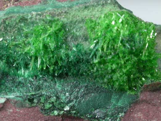 Cuprosklodowskite from Musonoi Mine, Kolwezi District, Katanga Copperbelt, Lualaba Province, Democratic Republic of the Congo