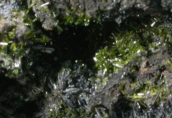 Pyromorphite from Sylvester Mine, Zeehan District, Tasmania, Australia