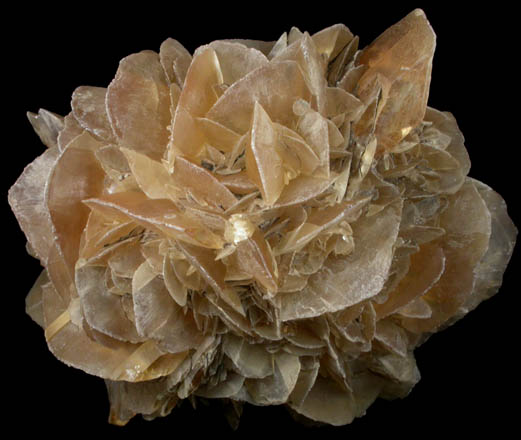 Gypsum from Red River Floodway, Winnipeg, Manitoba, Canada