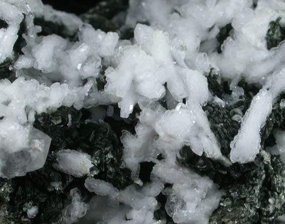 Albite, Clinochlore, Calcite from Kragero, Telemark, Norway