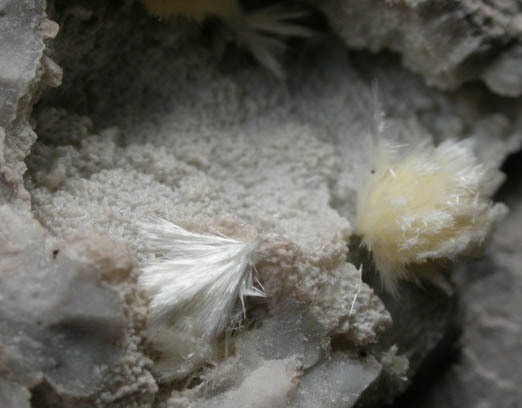 Mordenite from Tairua River, west of Thames, North Island, New Zealand