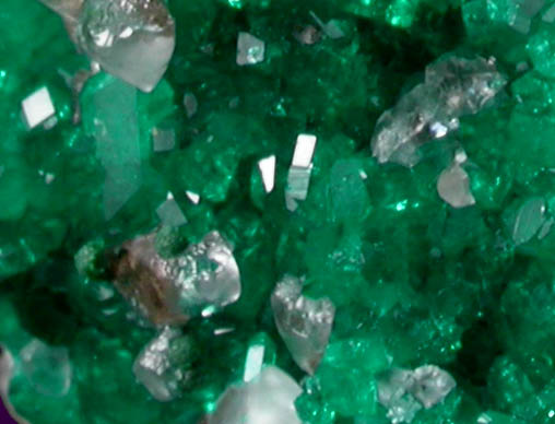 Dioptase and Calcite from Altyn-Tyube, 66 km east of Karagandy, Karaganda Oblast', Kazakhstan (Type Locality for Dioptase)