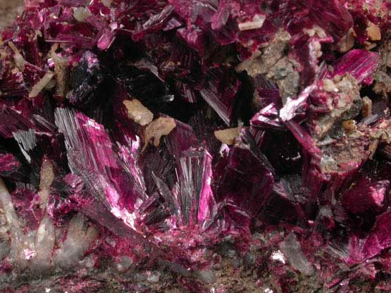 Erythrite on Quartz from Bou Azzer District, Anti-Atlas Mountains, Tazenakht, Ouarzazate, Morocco (Type Locality for Erythrite)